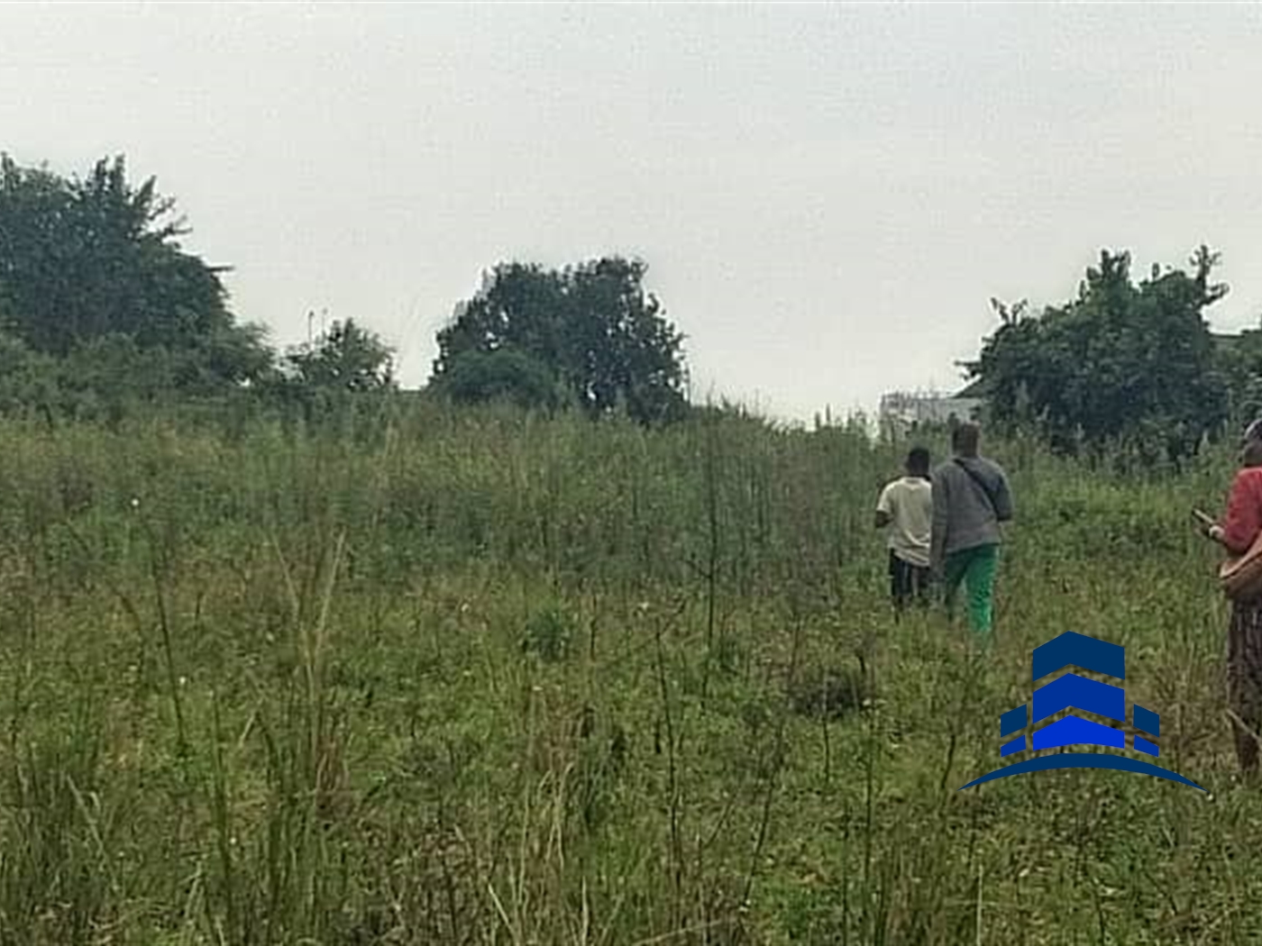 Agricultural Land for sale in Mpunge Mukono