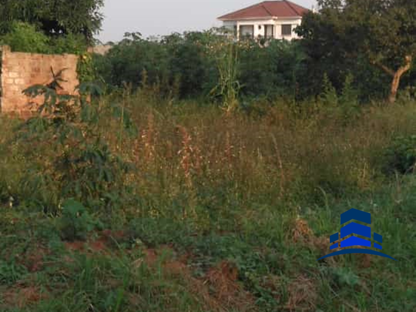 Residential Land for sale in Namulonge Wakiso