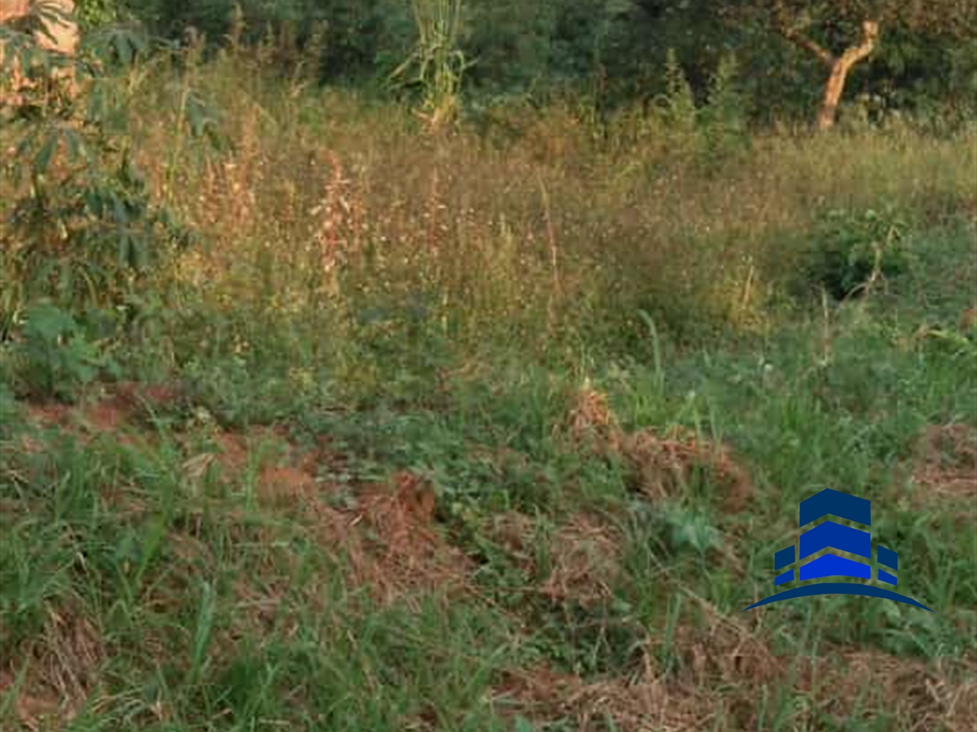 Residential Land for sale in Namulonge Wakiso