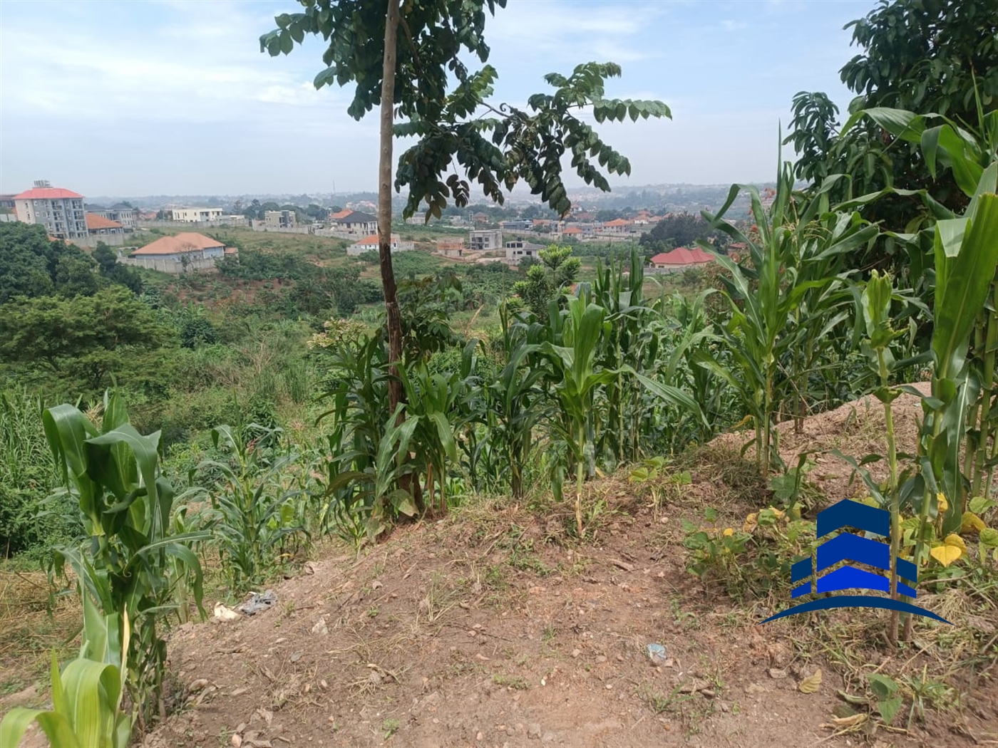 Agricultural Land for sale in Kira Wakiso