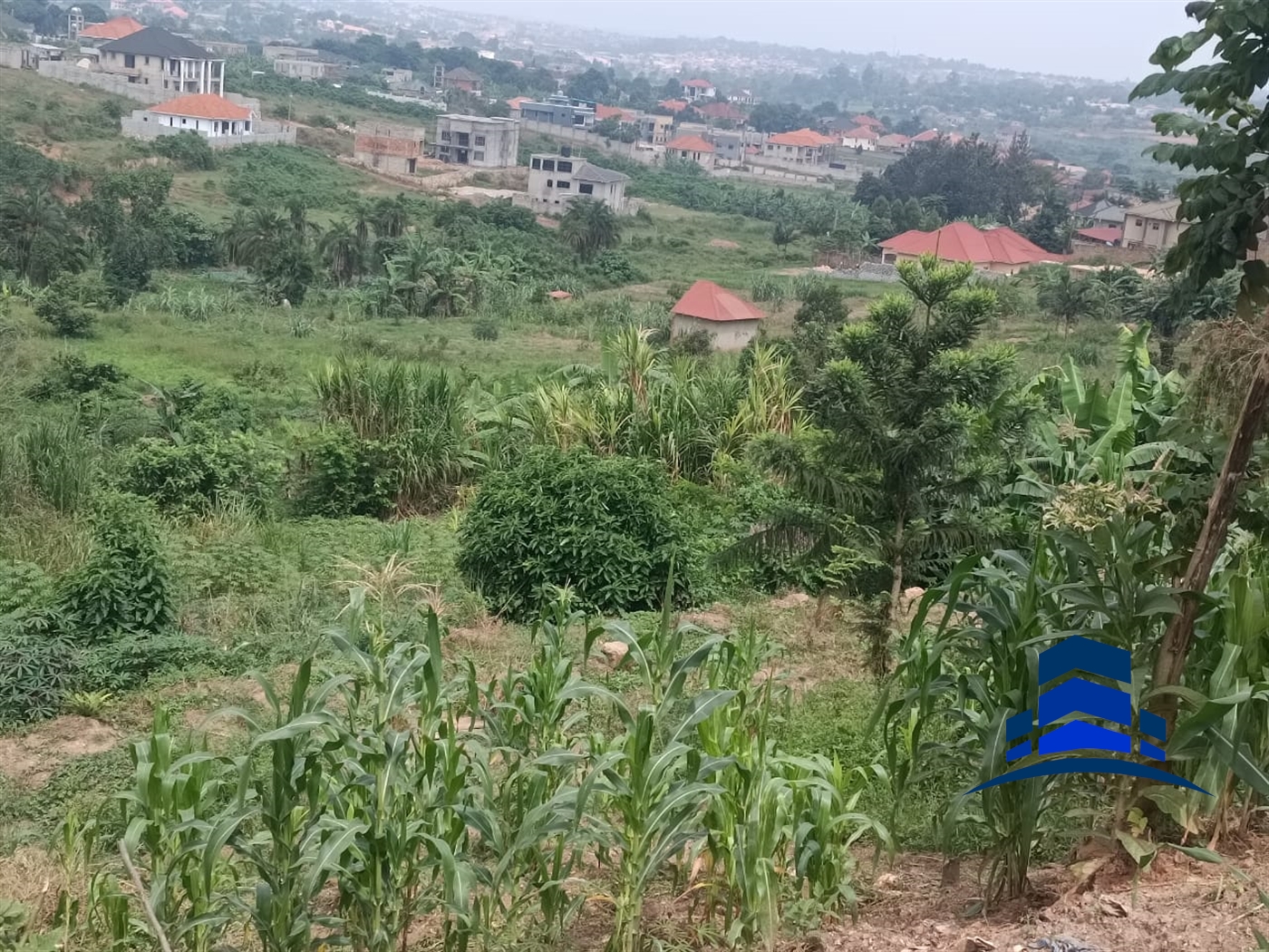 Agricultural Land for sale in Kira Wakiso