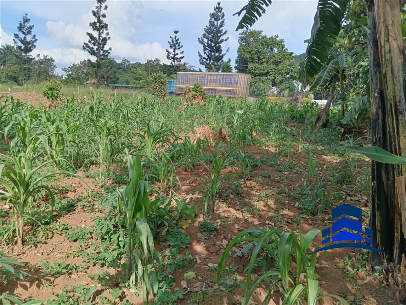 Residential Land for sale in Mukono Mukono