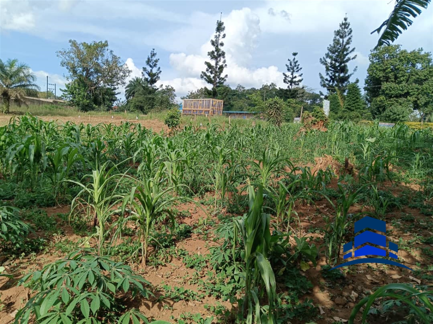 Residential Land for sale in Mukono Mukono