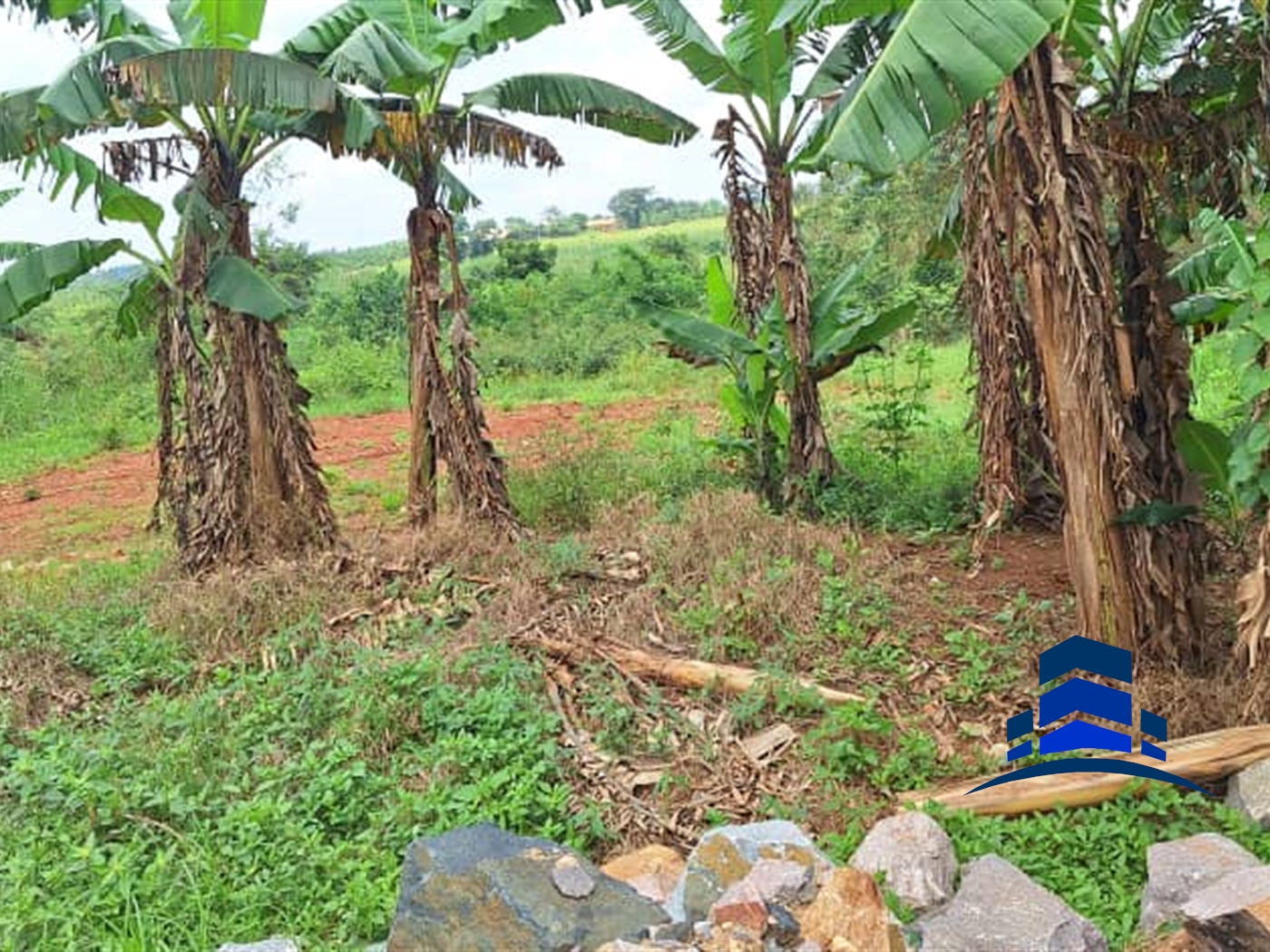 Commercial Land for sale in Kitukutwe Wakiso