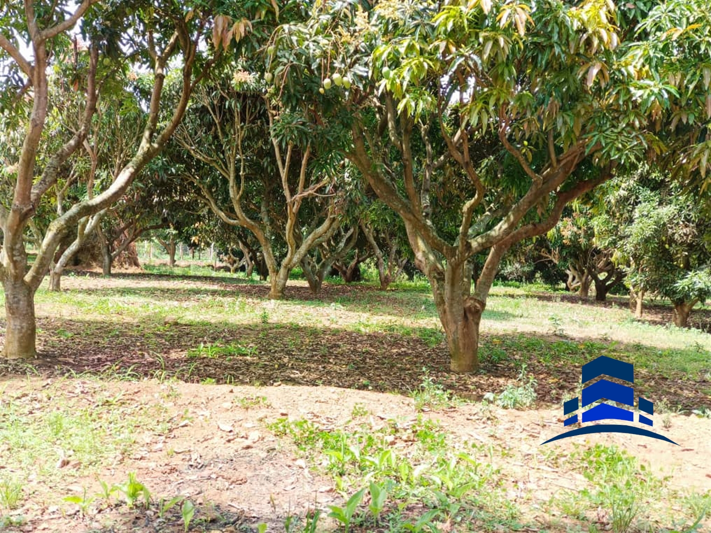 Residential Land for sale in Entebbe Wakiso