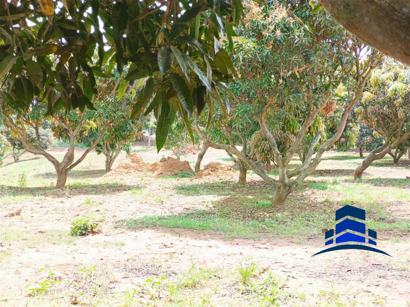 Residential Land for sale in Entebbe Wakiso