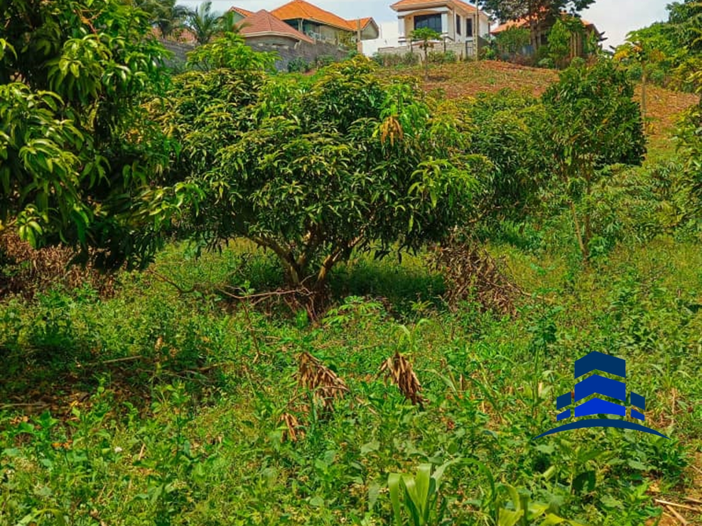 Residential Land for sale in Entebbe Wakiso