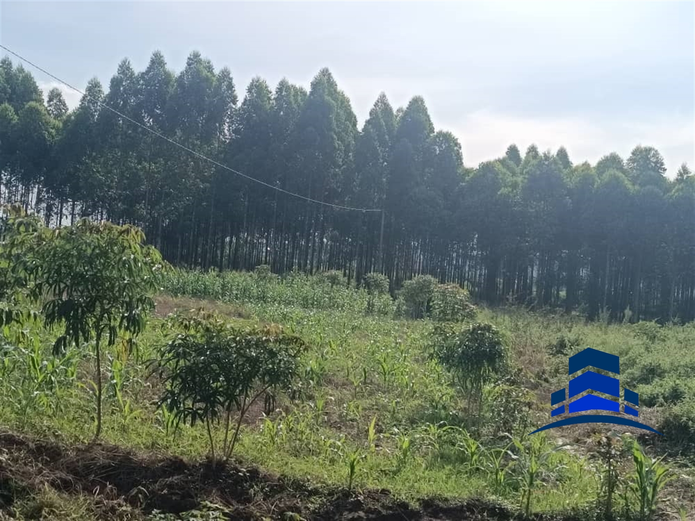 Commercial Land for sale in Kira Wakiso