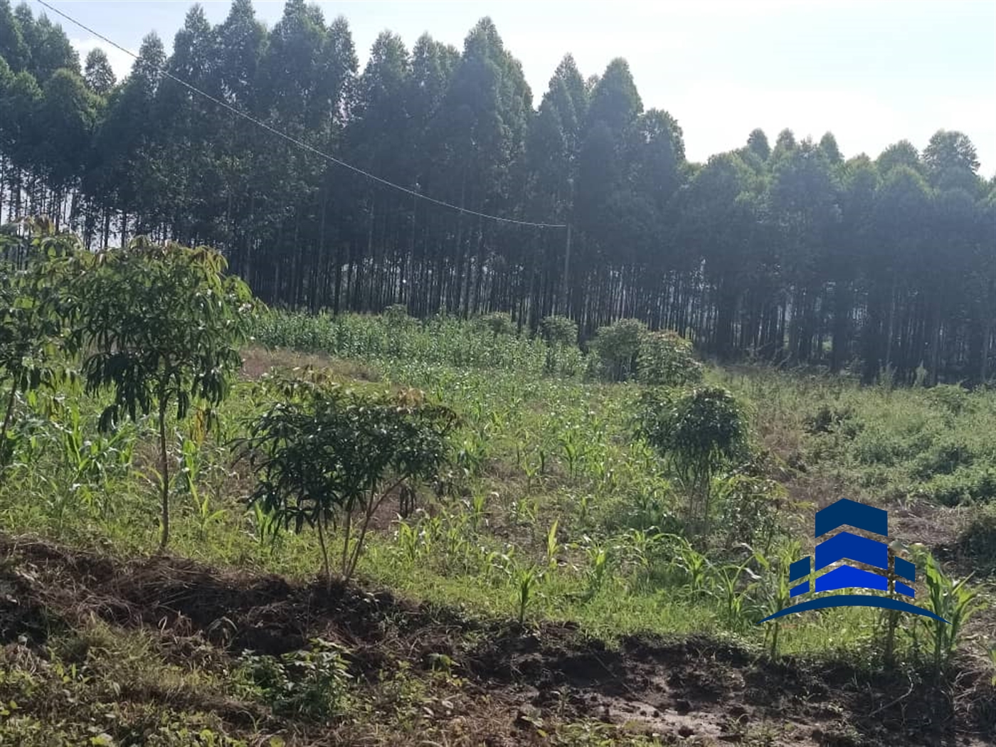 Commercial Land for sale in Kira Wakiso