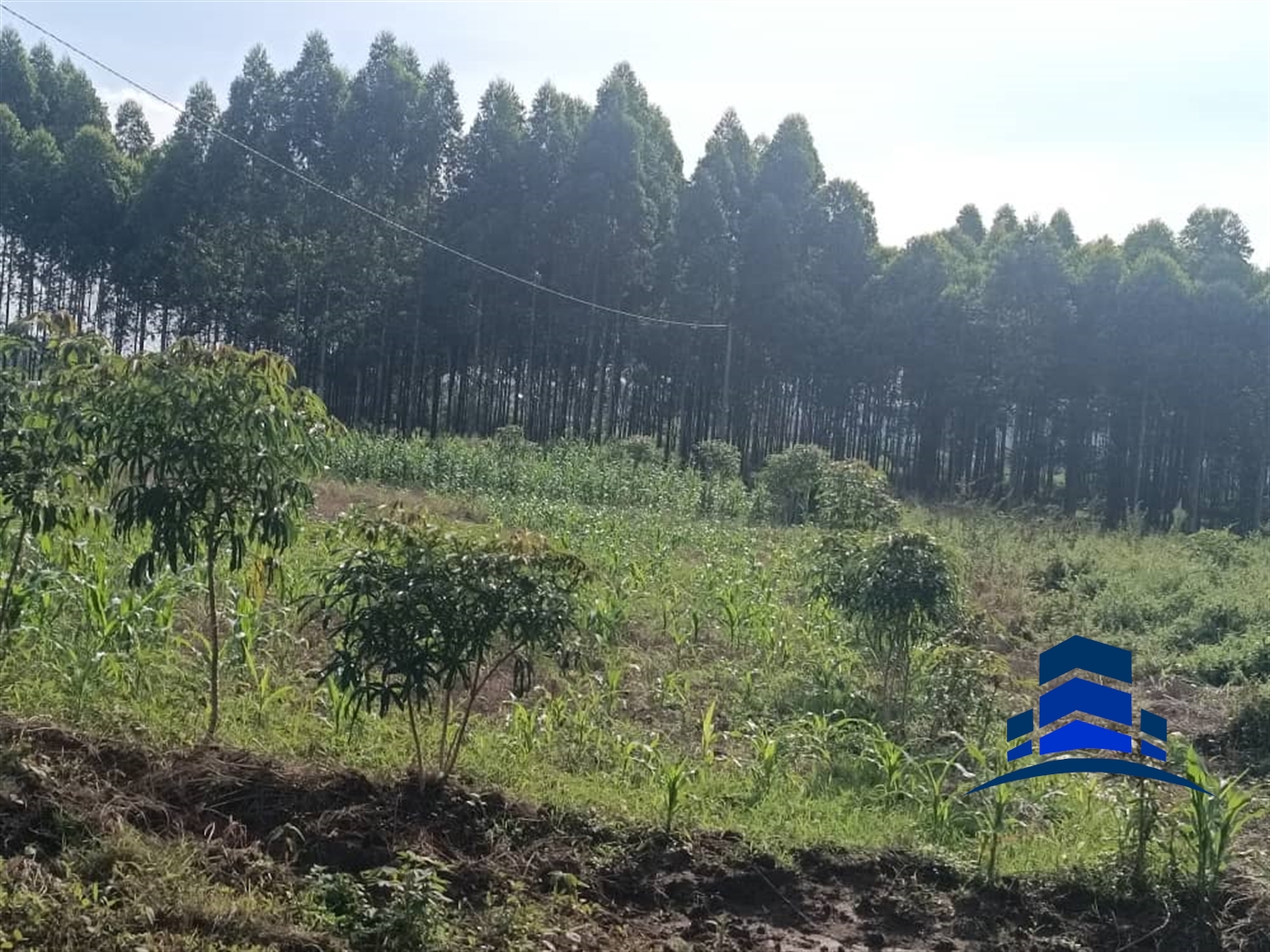 Commercial Land for sale in Kira Wakiso