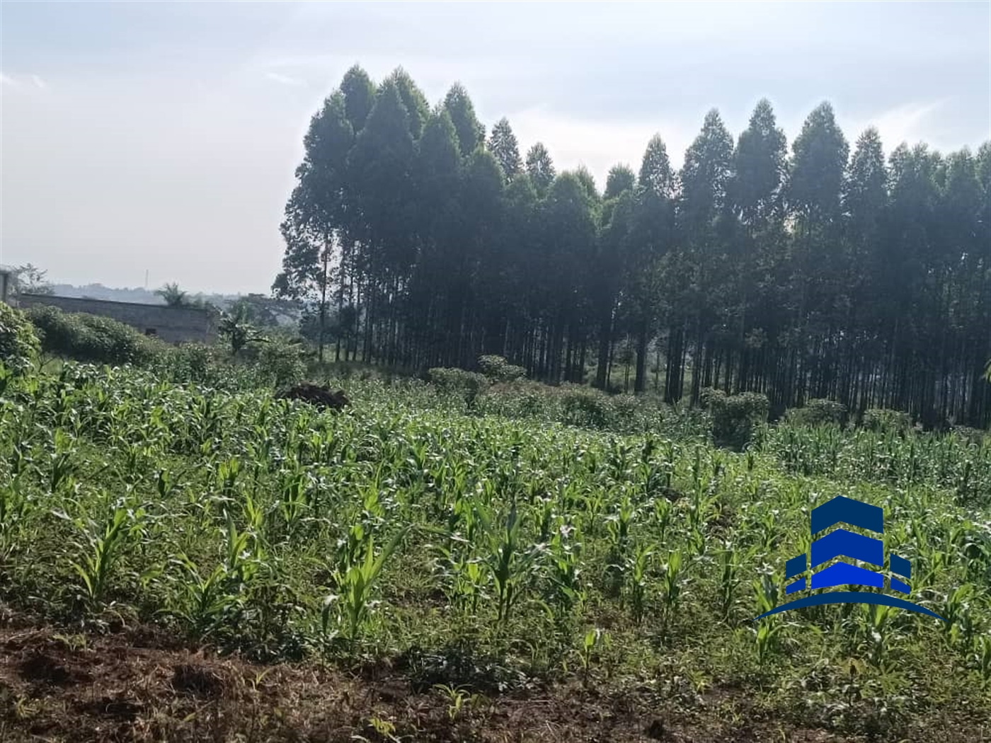 Commercial Land for sale in Kira Wakiso