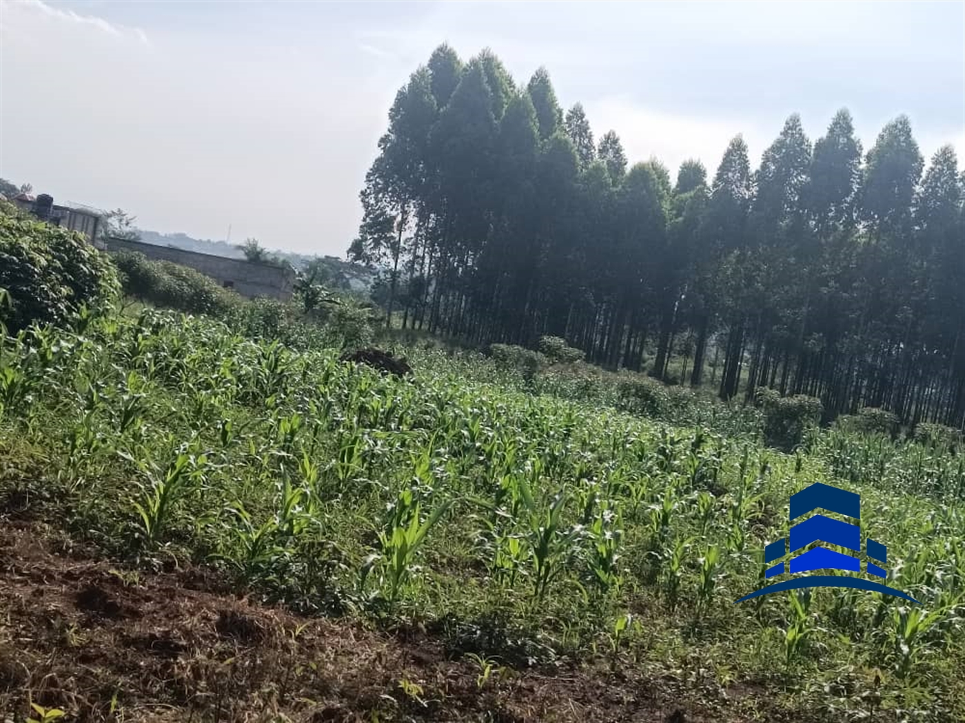 Commercial Land for sale in Kira Wakiso