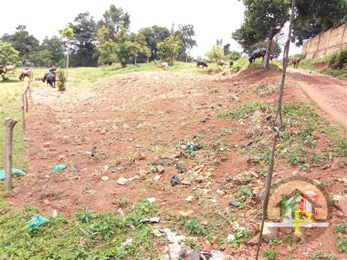 Residential Land for sale in Kireka Wakiso