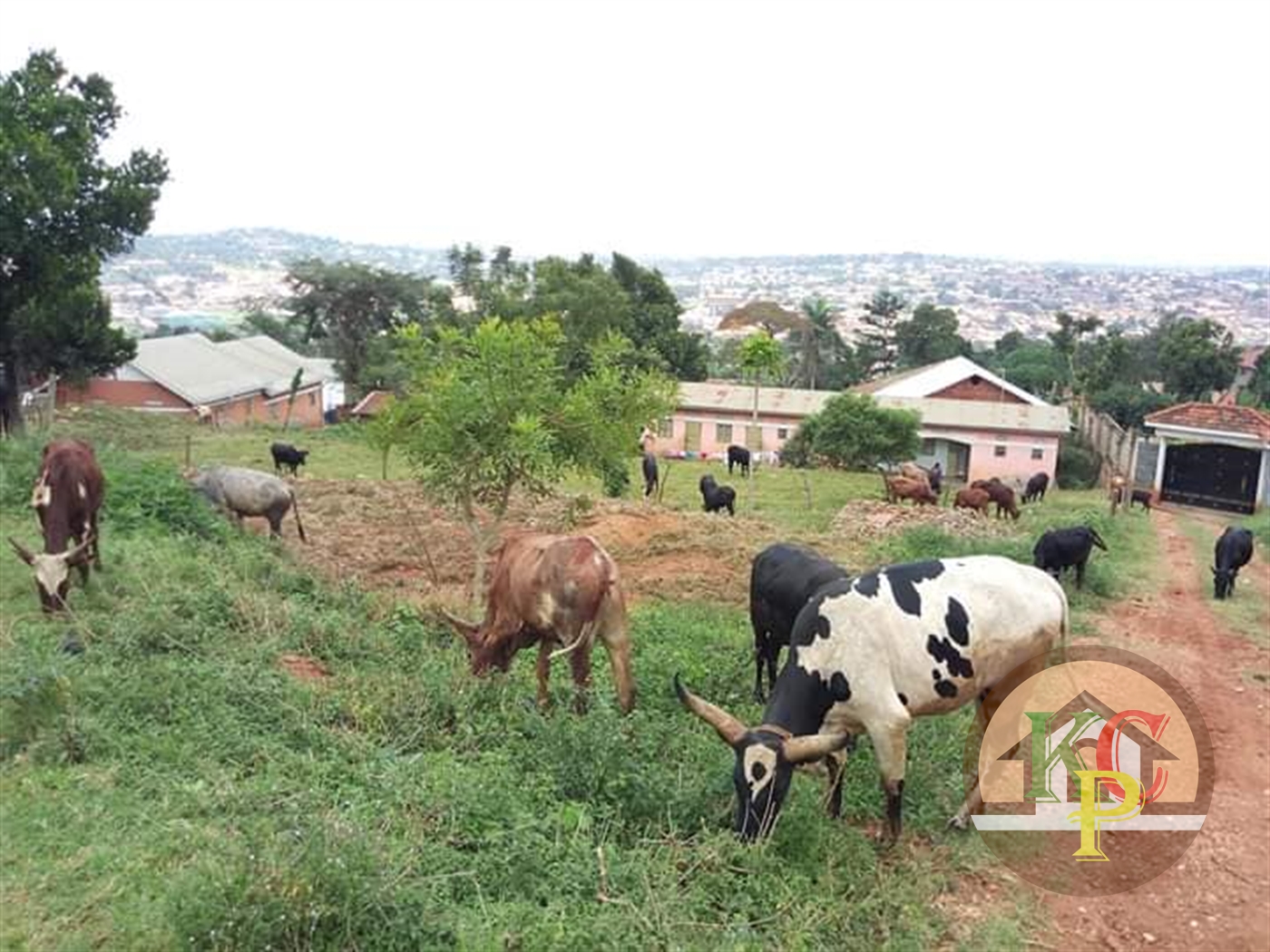 Residential Land for sale in Kireka Wakiso