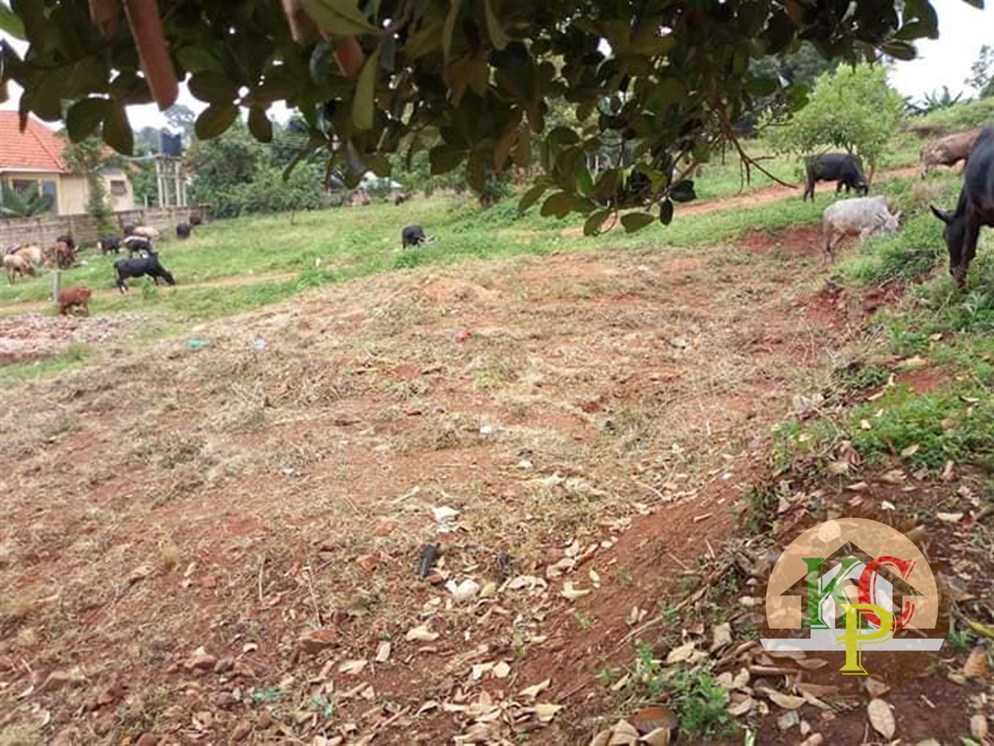 Residential Land for sale in Kireka Wakiso