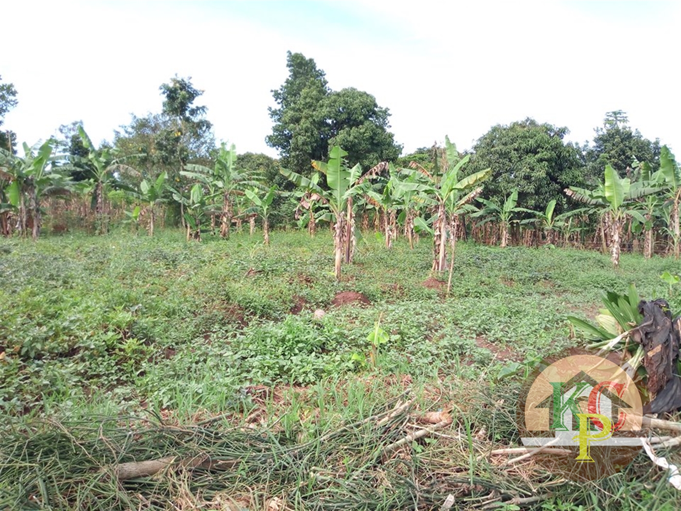 Residential Land for sale in Kakiri Mpigi