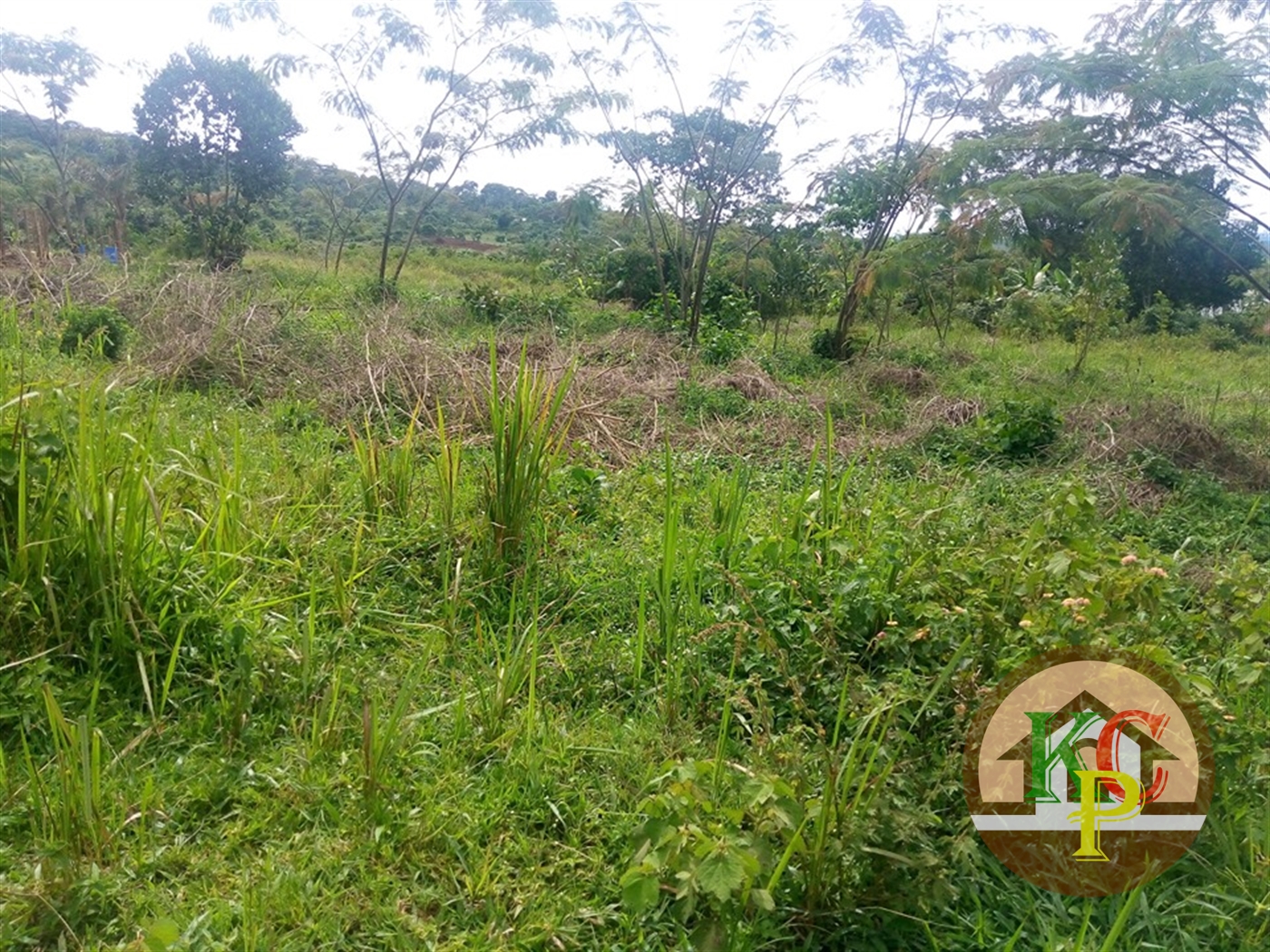 Agricultural Land for sale in Nkokonjeru Mukono