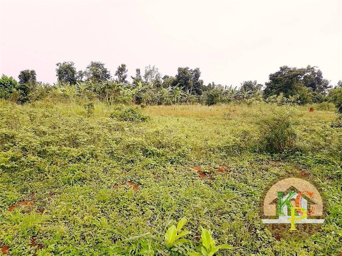 Residential Land for sale in Matugga Wakiso