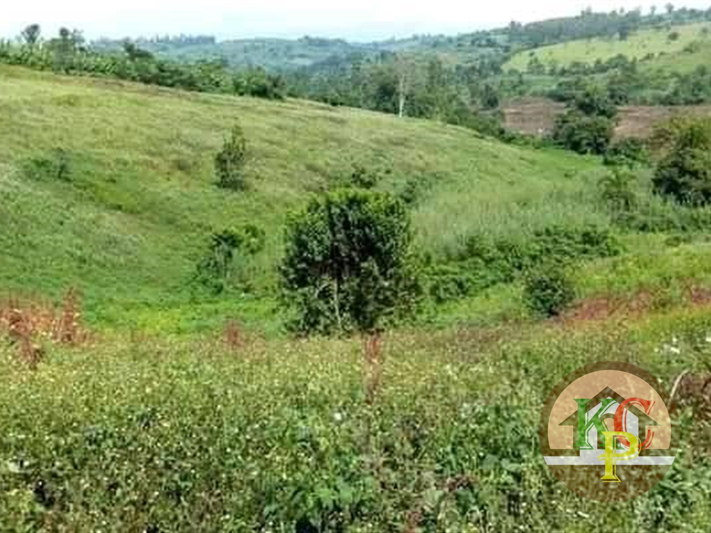 Agricultural Land for sale in Kakooge Luweero