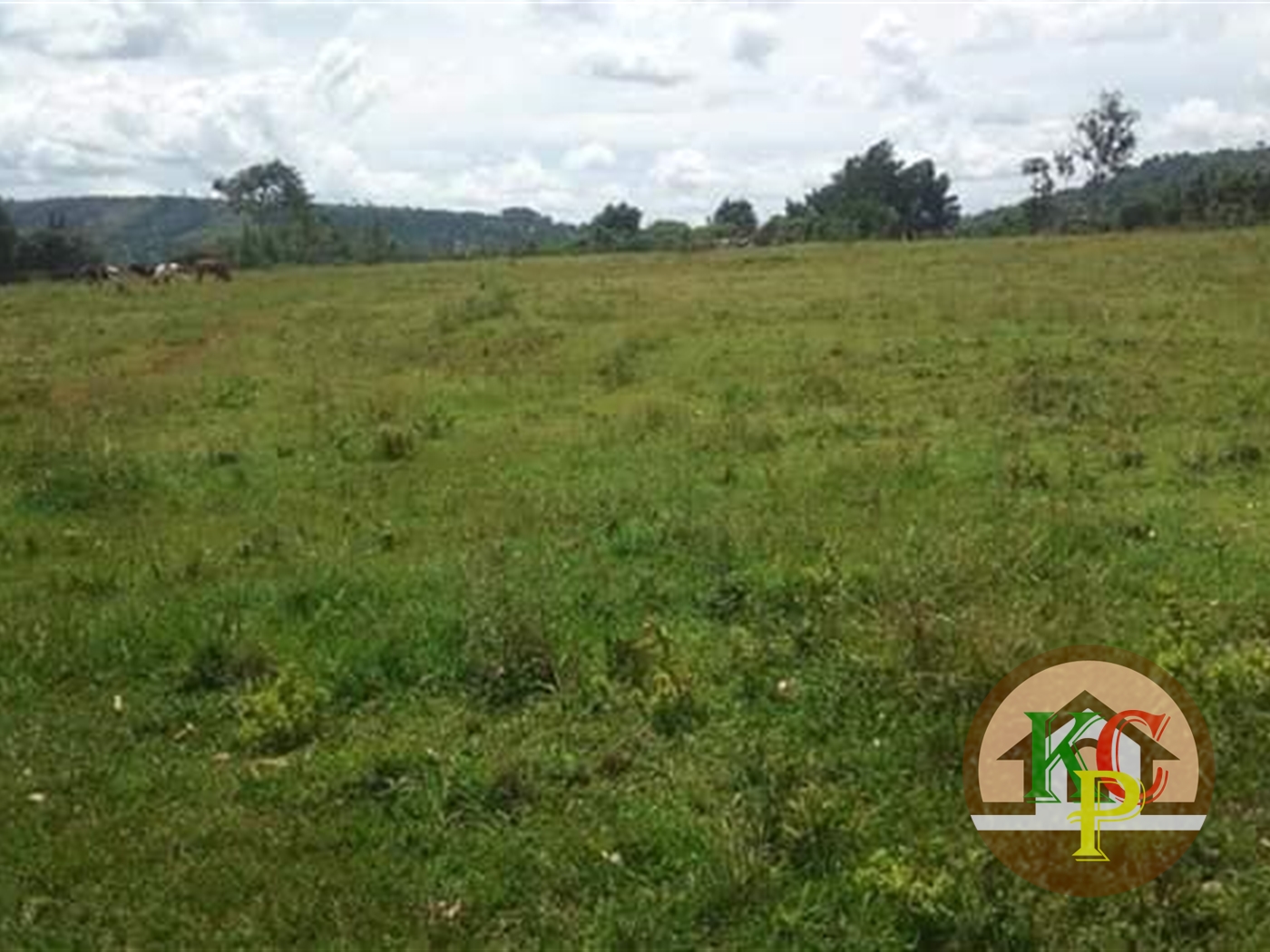 Residential Land for sale in Mpambire Mpigi