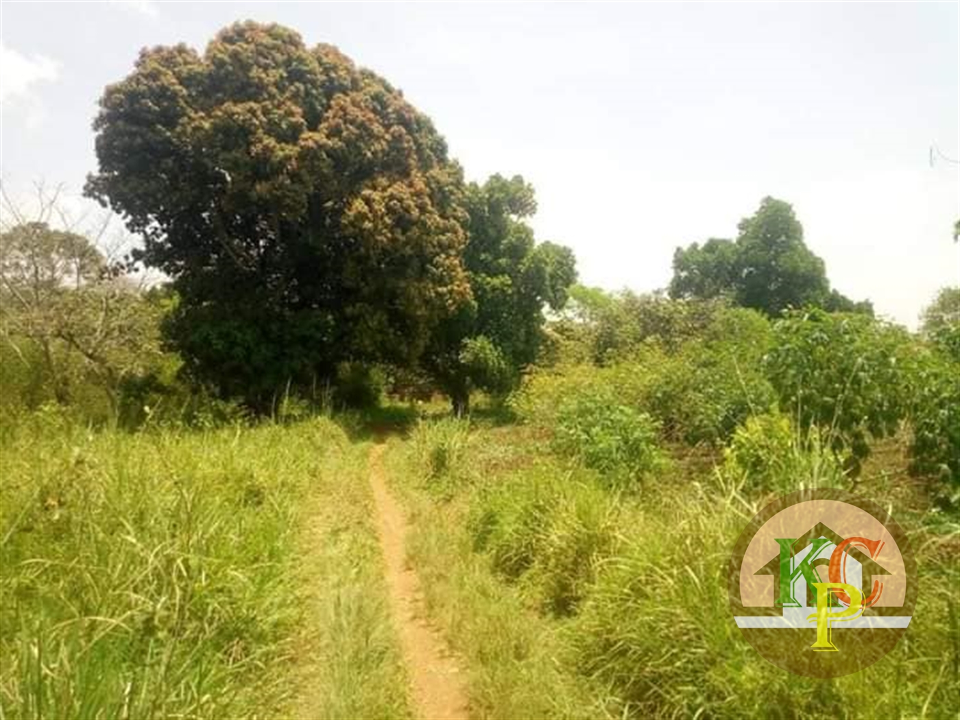 Agricultural Land for sale in Kakooge Luweero