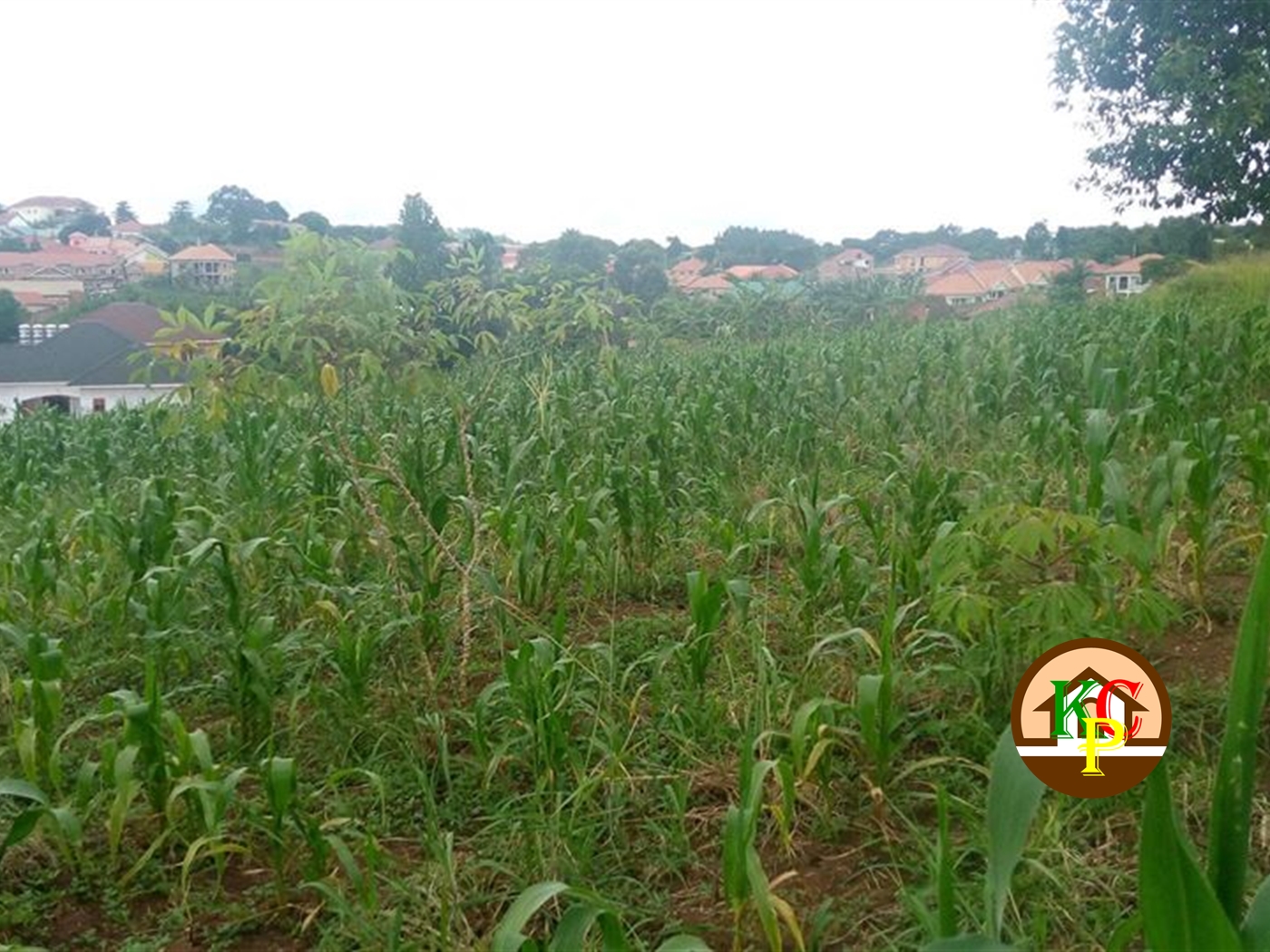 Residential Land for sale in Seeta Mukono