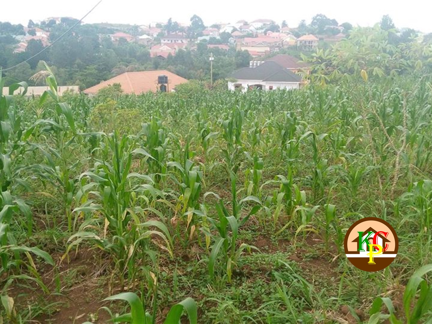 Residential Land for sale in Seeta Mukono