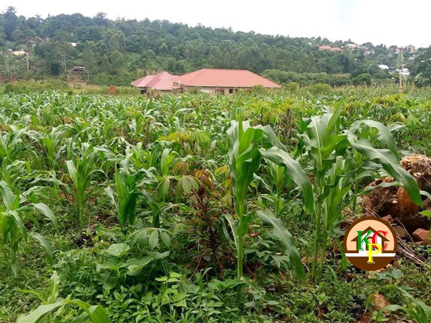 Residential Land for sale in Seeta Mukono