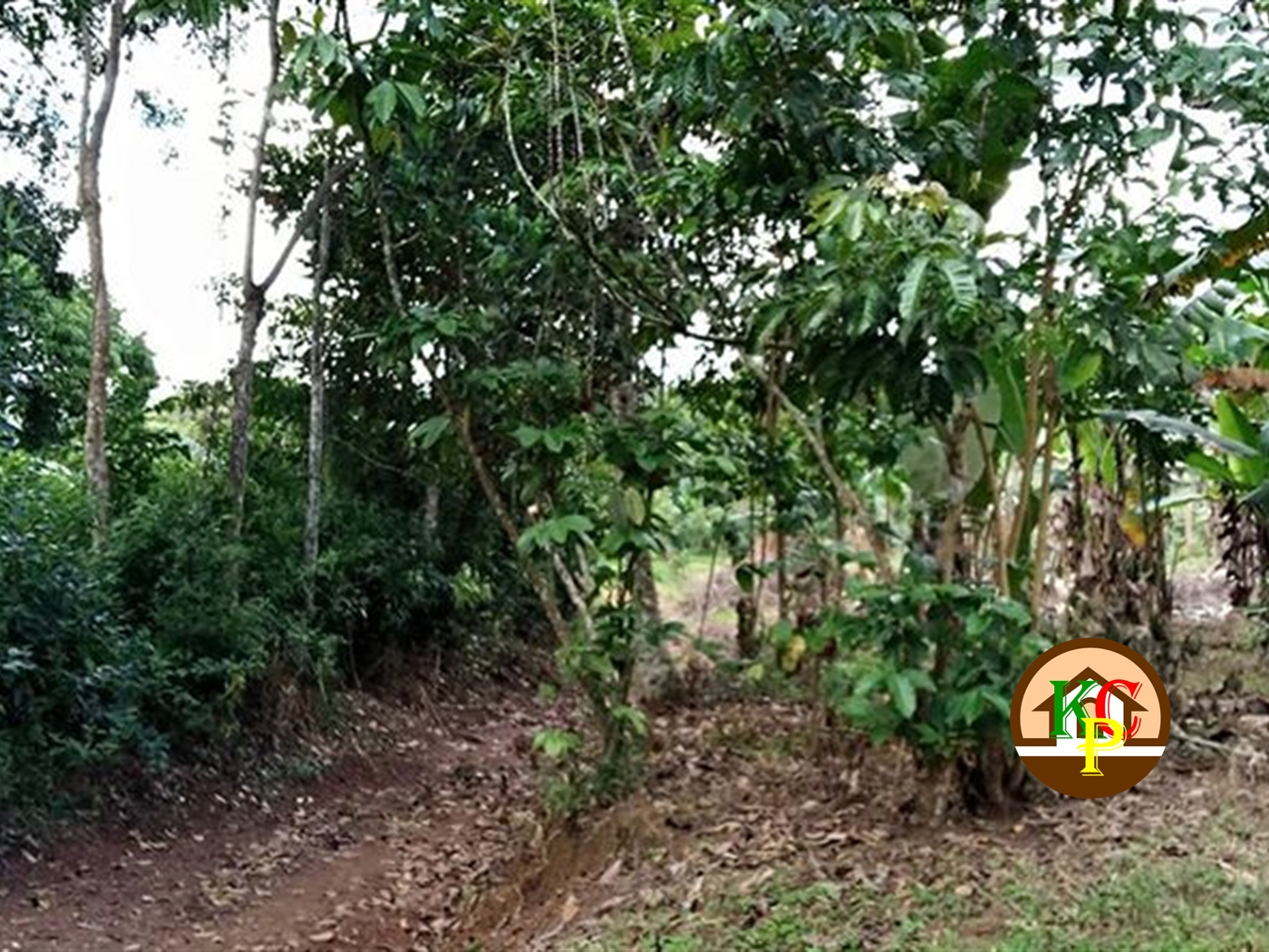 Residential Land for sale in Gayaza Wakiso