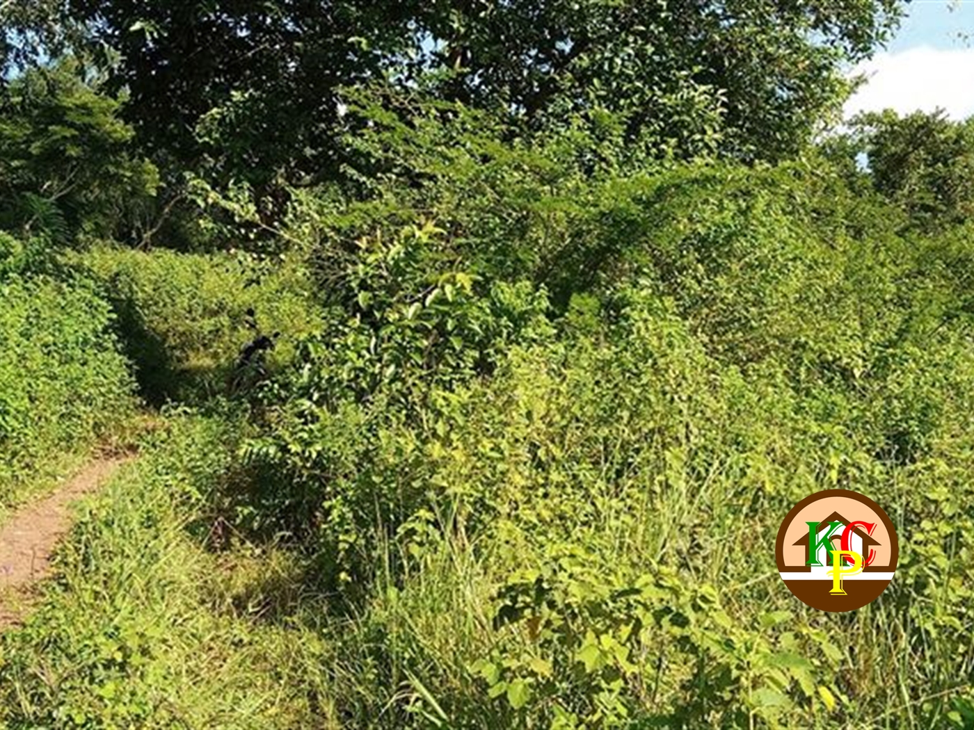 Residential Land for sale in Gayaza Wakiso