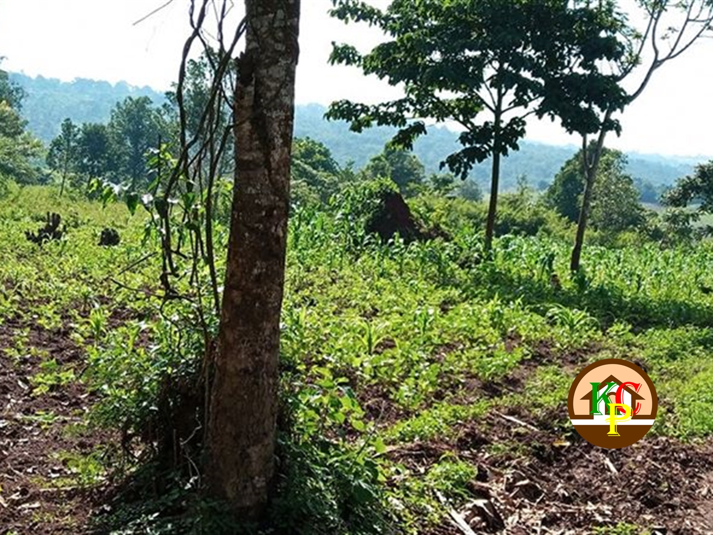 Residential Land for sale in Gayaza Wakiso