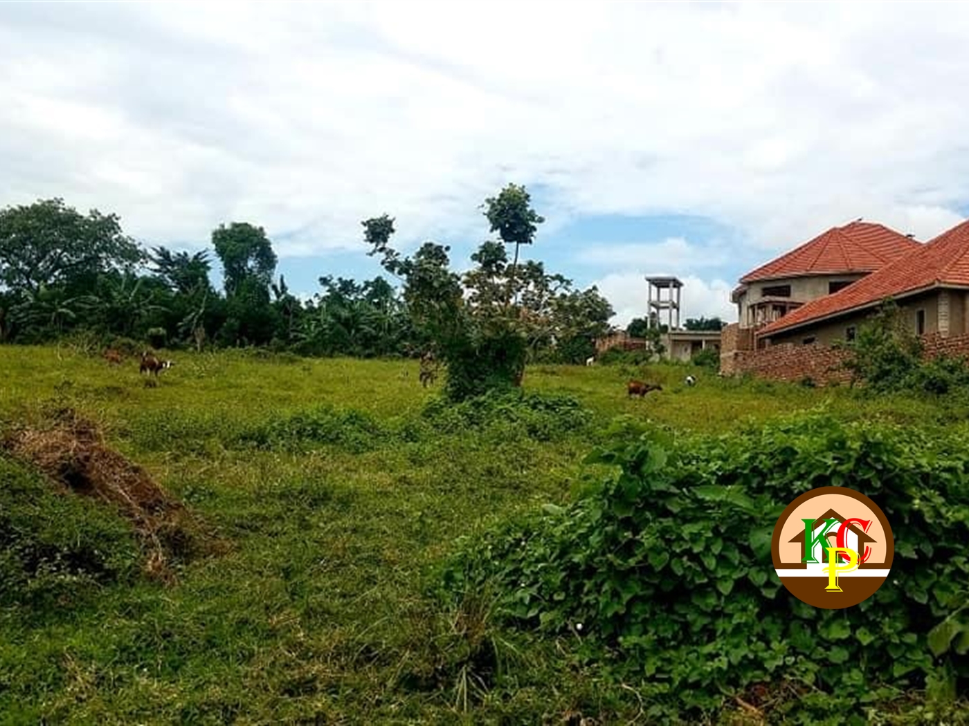 Residential Land for sale in Najjera Kampala