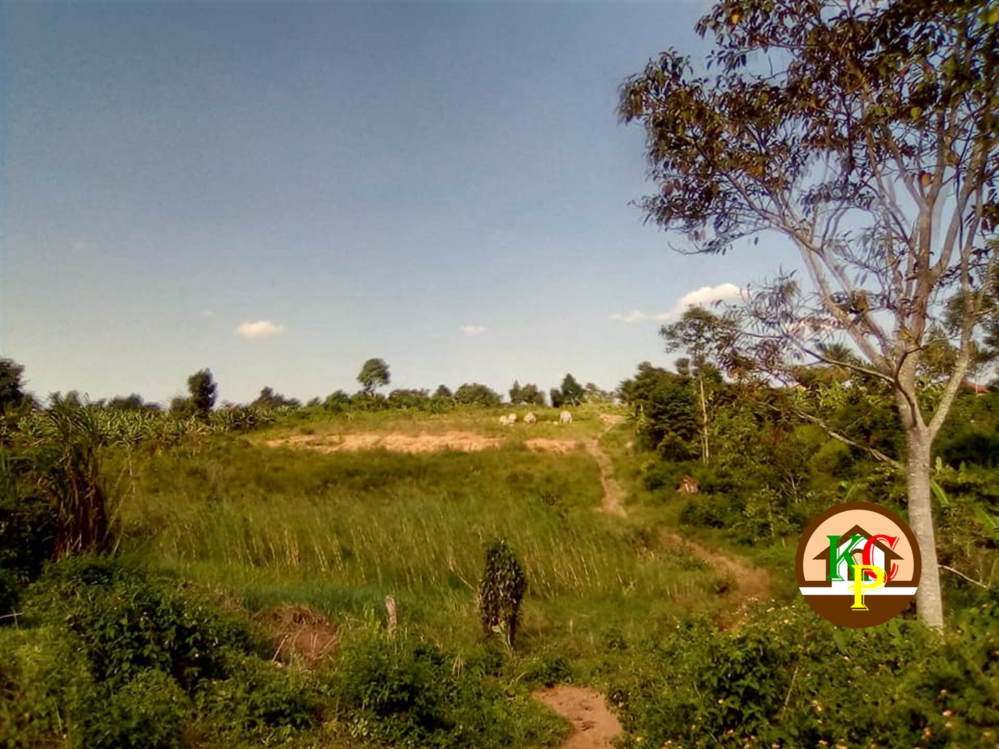 Residential Land for sale in Gayaza Wakiso