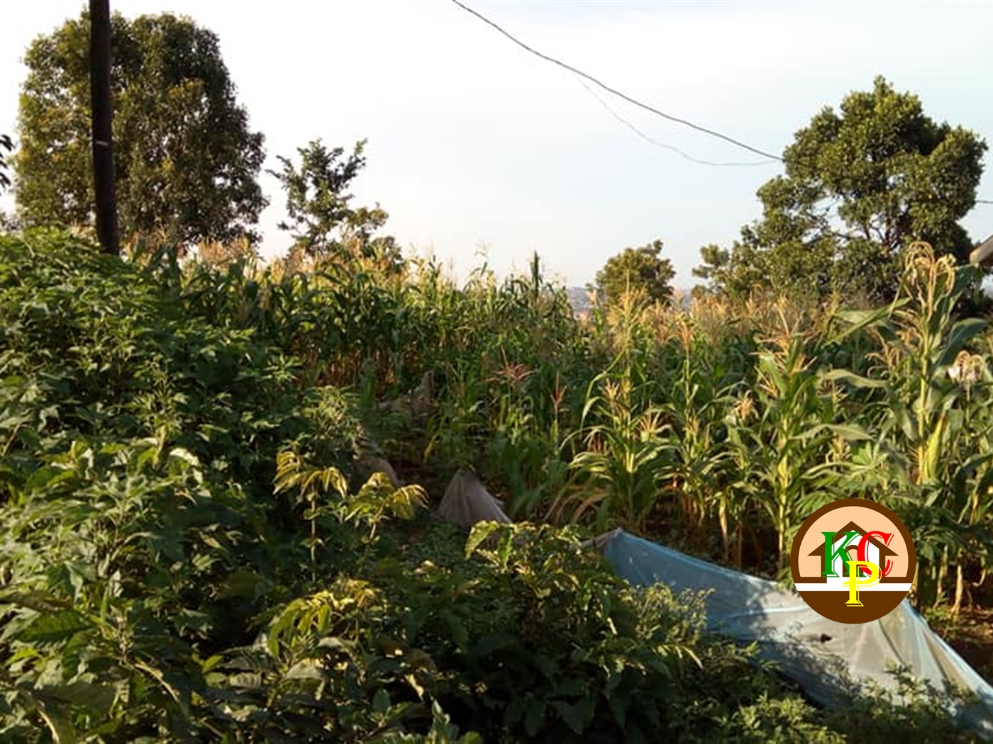 Residential Land for sale in Kisaasi Wakiso