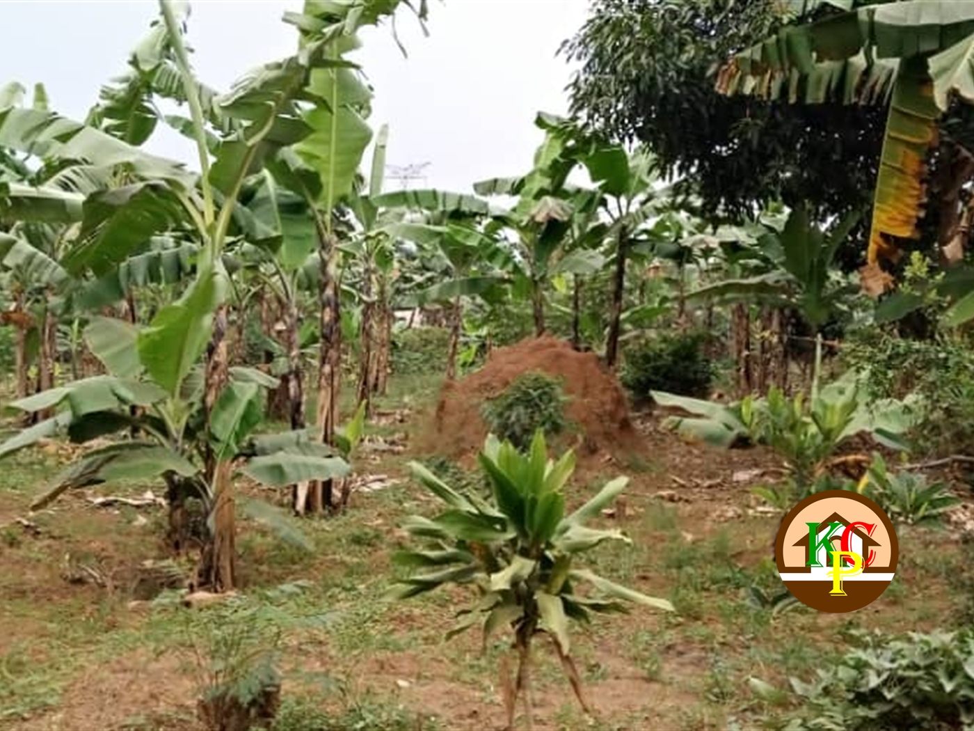 Residential Land for sale in Kyanja Kampala