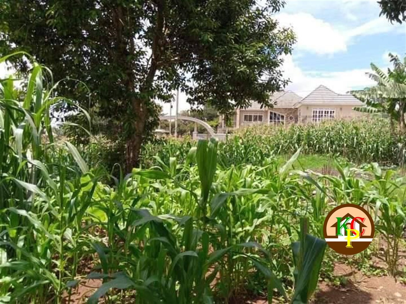 Residential Land for sale in Mutungo Kampala