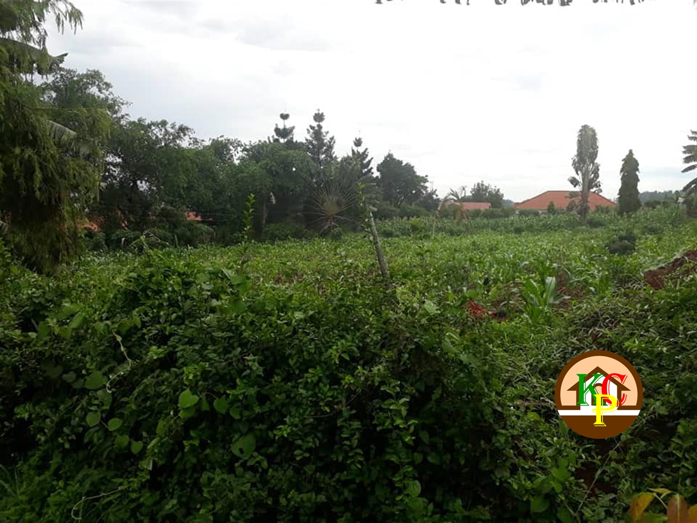 Residential Land for sale in Lubowa Wakiso