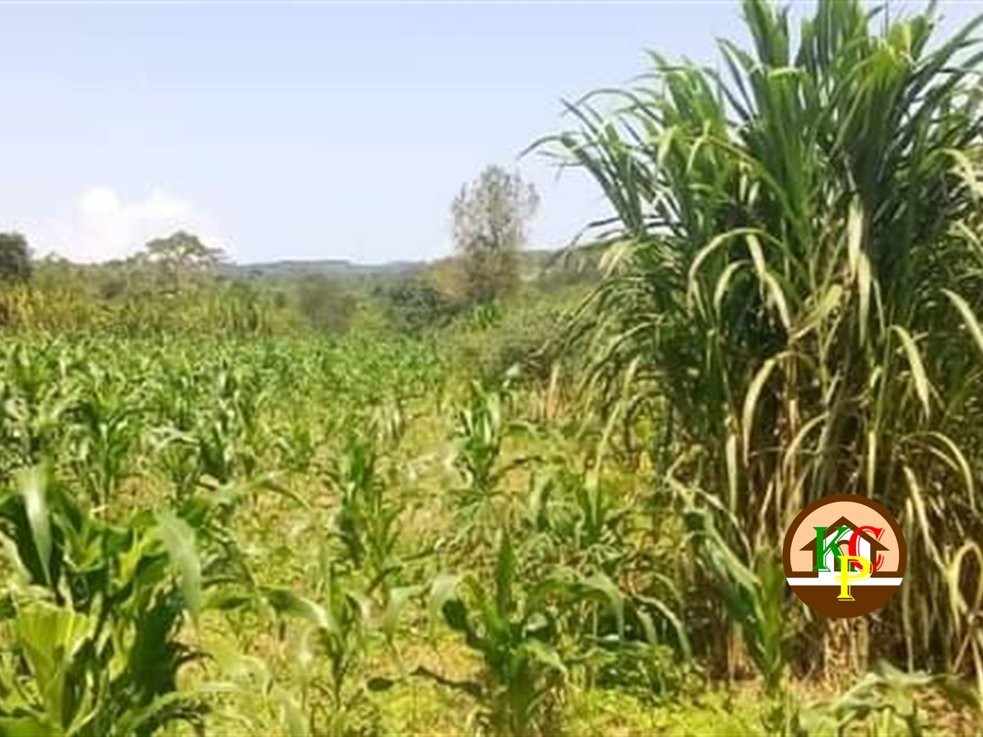 Residential Land for sale in Bukasa Wakiso