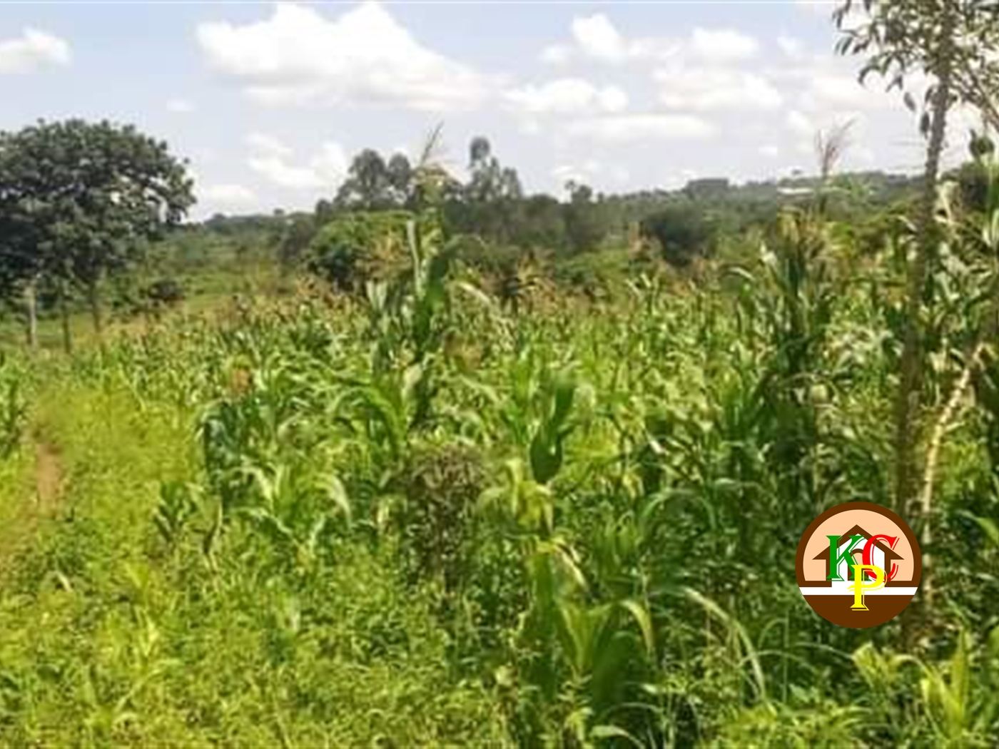 Residential Land for sale in Bukasa Wakiso