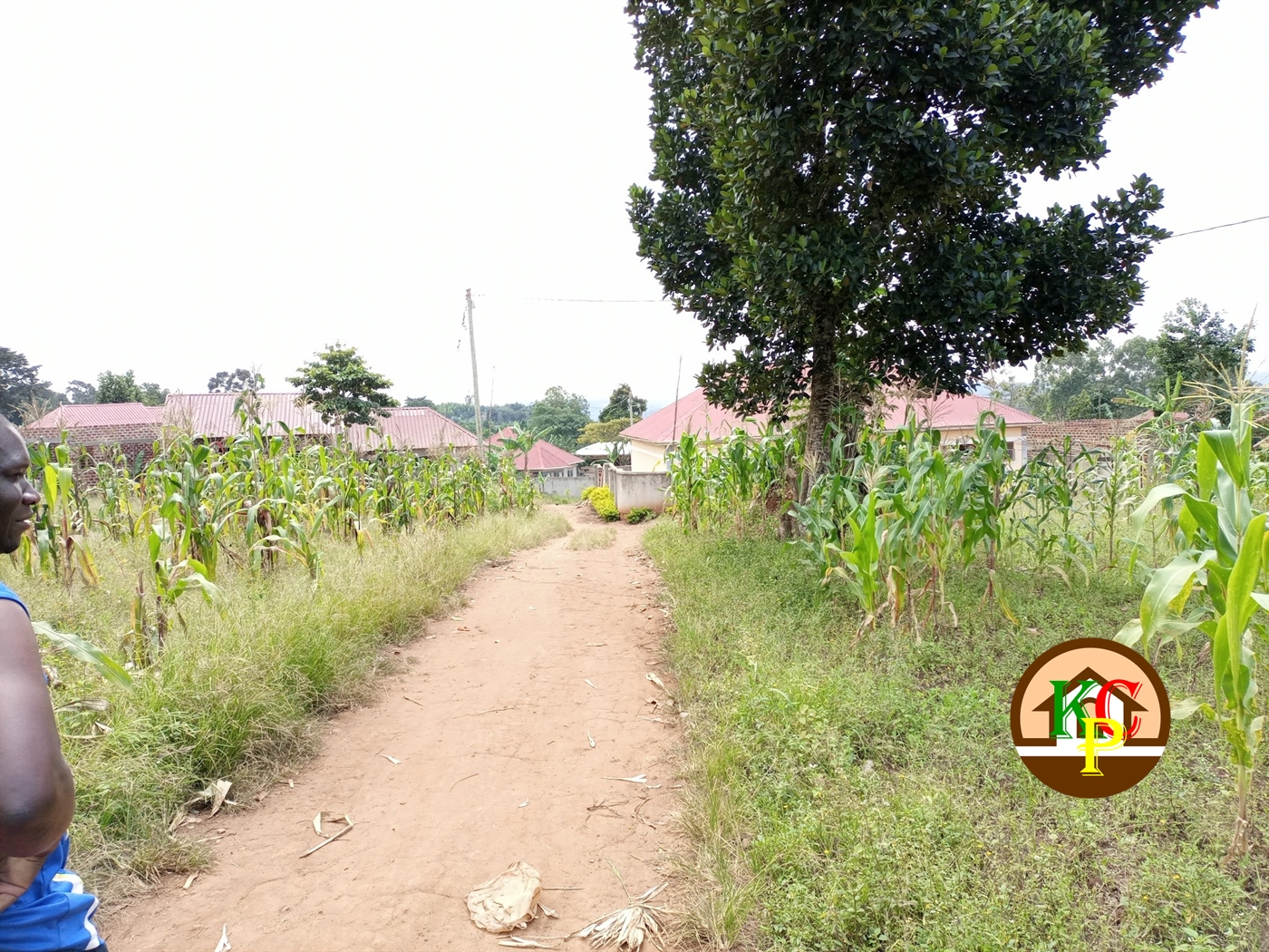 Residential Land for sale in Namugongo Wakiso