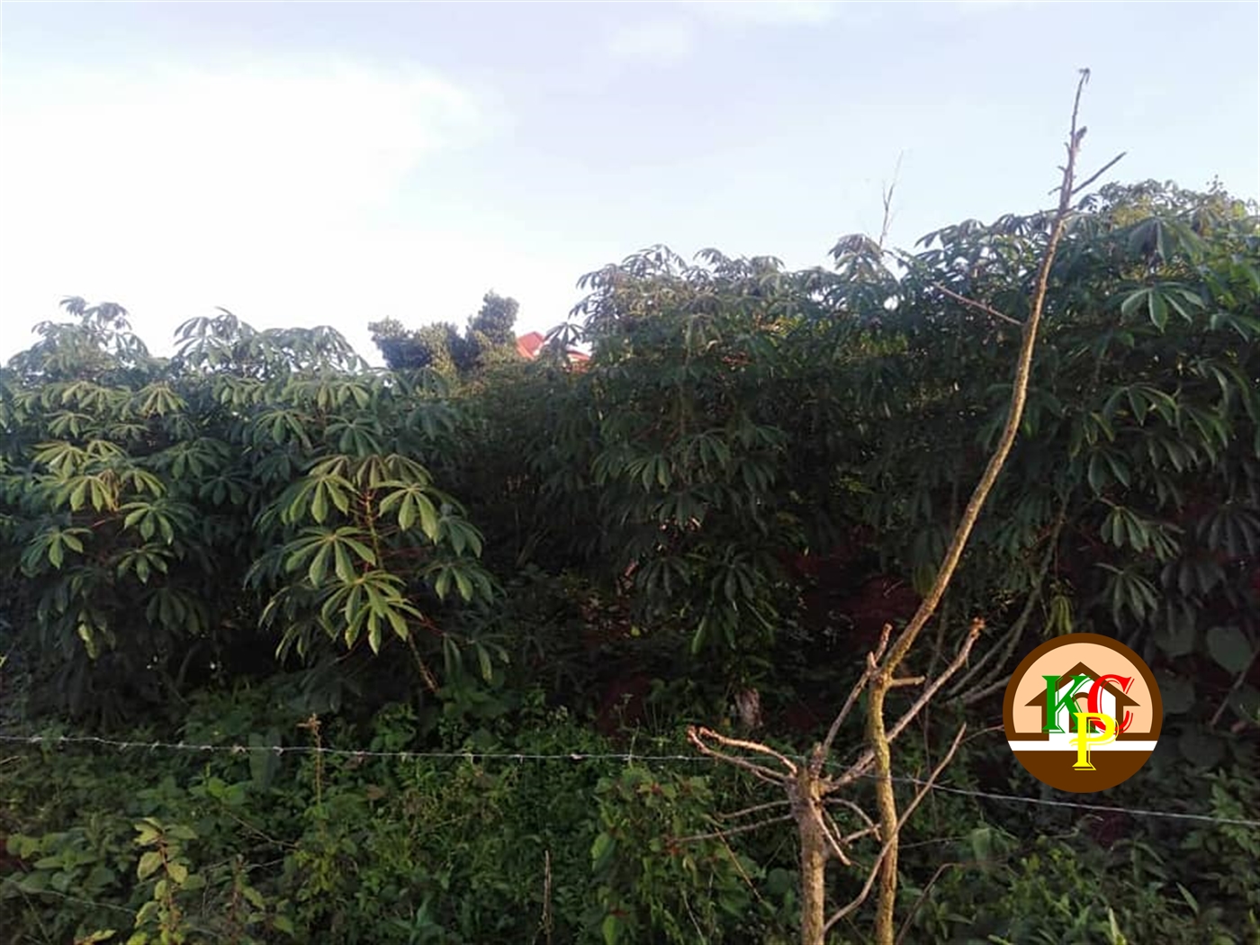 Residential Land for sale in Kitende Wakiso