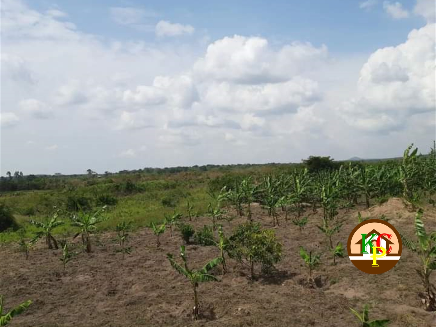 Residential Land for sale in Ziloobwe Luweero