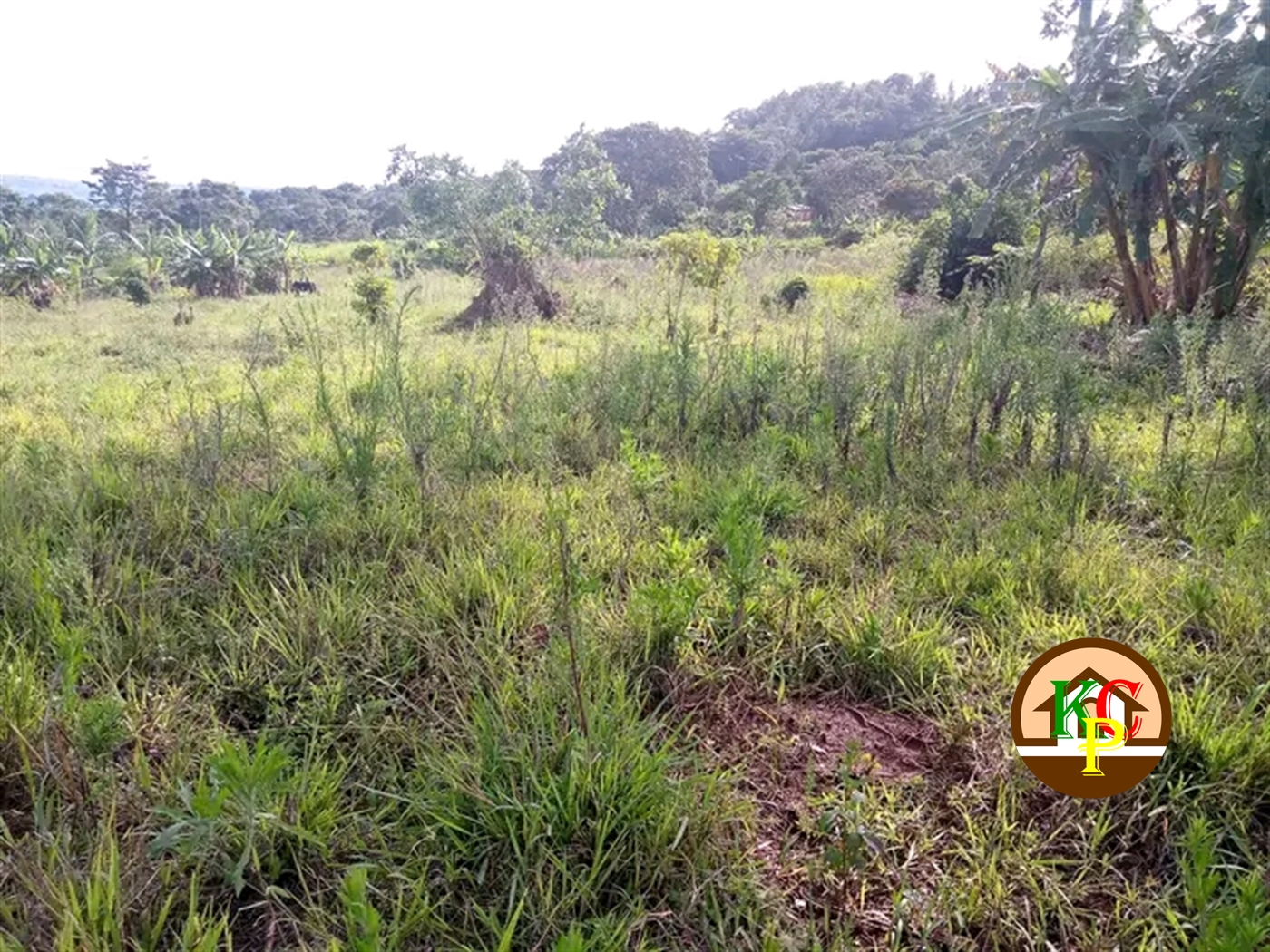 Commercial Land for sale in Busabaga Mukono