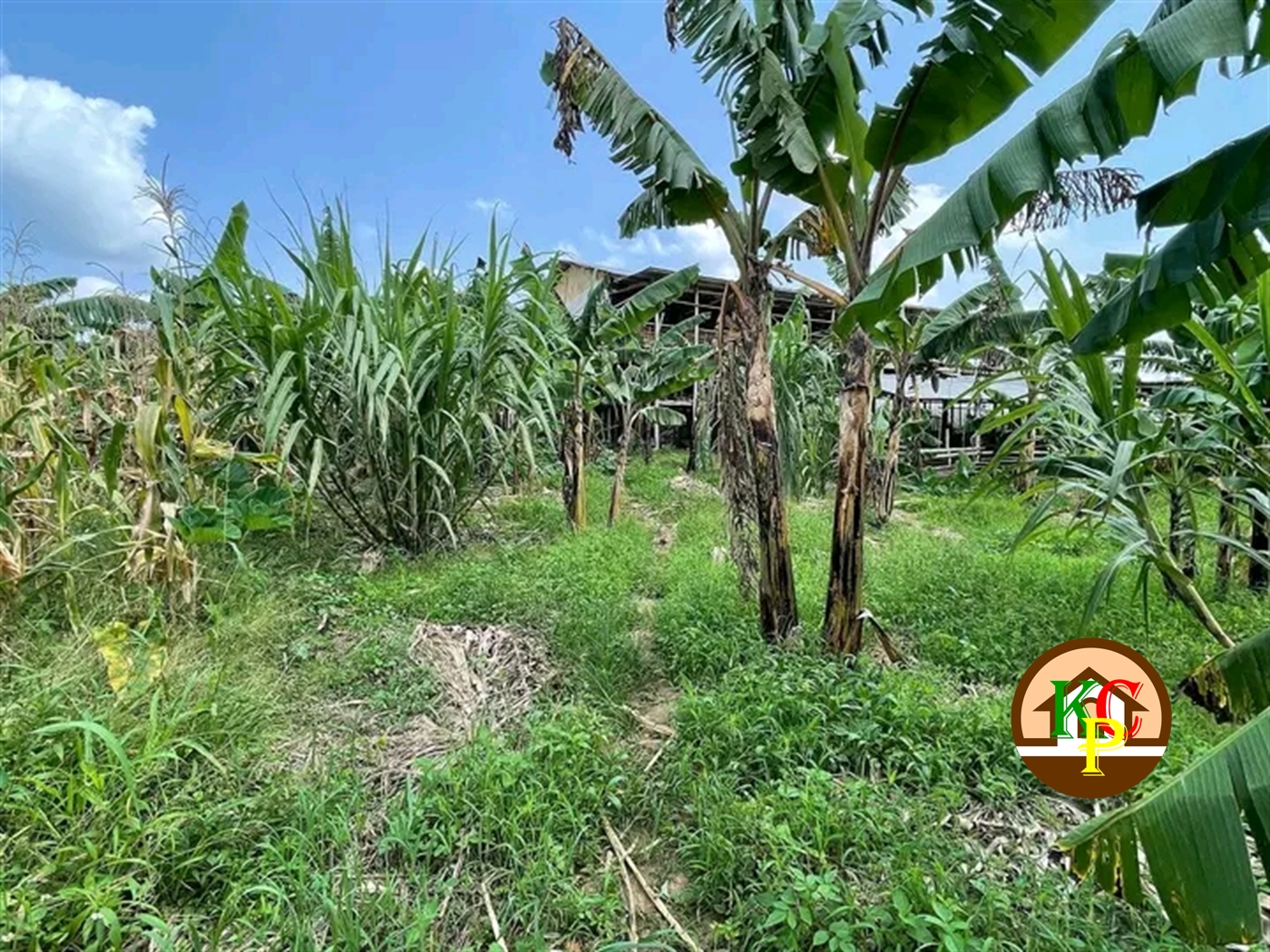 Residential Land for sale in Gayaza Wakiso