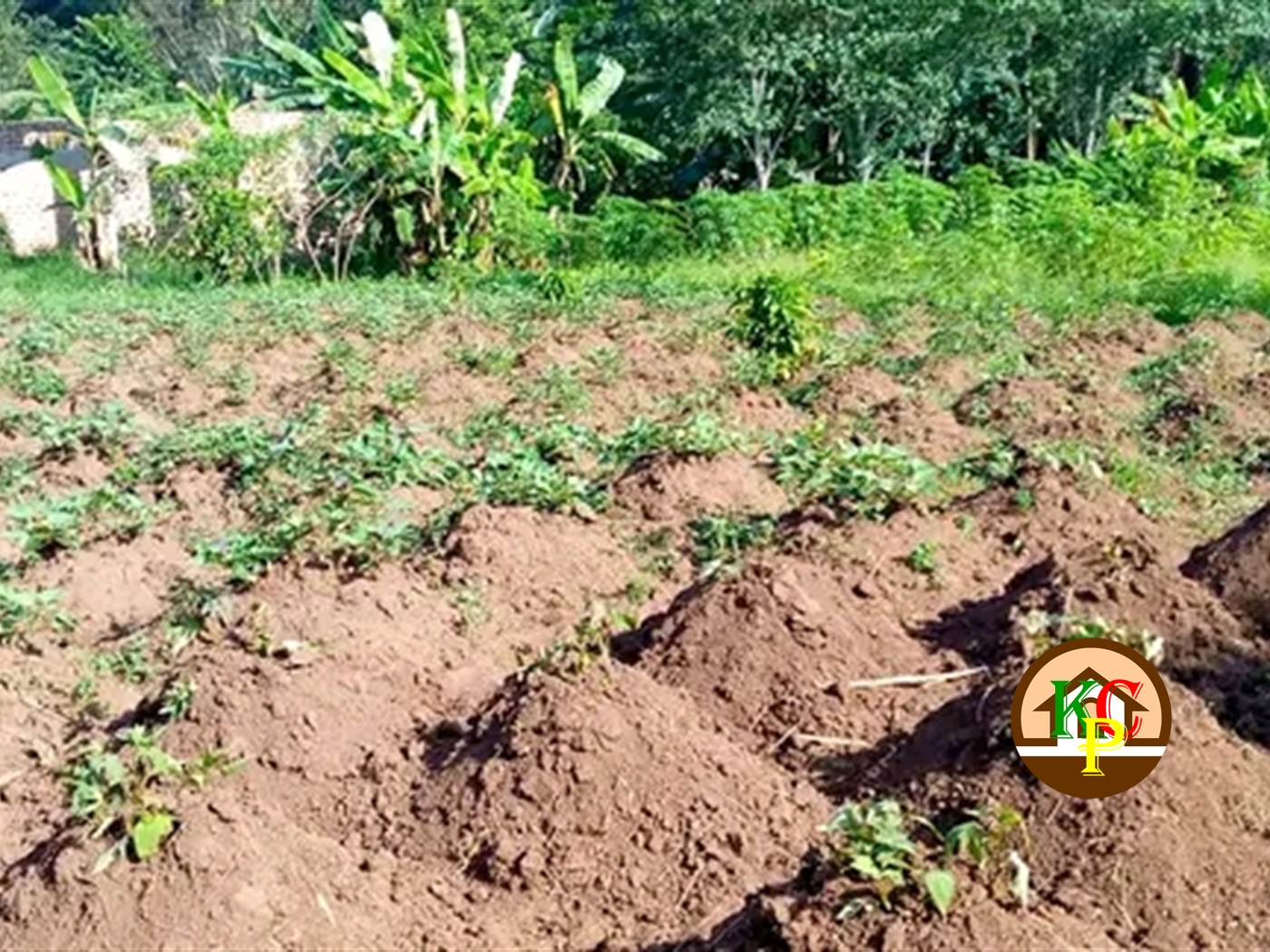 Residential Land for sale in Kiyunga Mukono