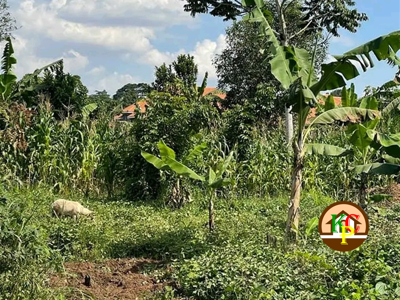 Residential Land for sale in Matugga Wakiso