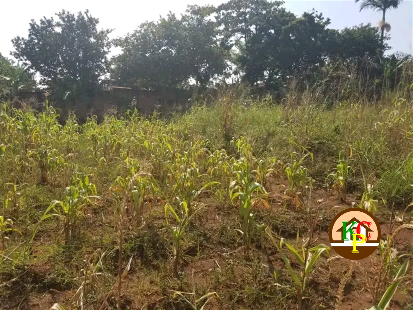 Residential Land for sale in Namugongo Wakiso