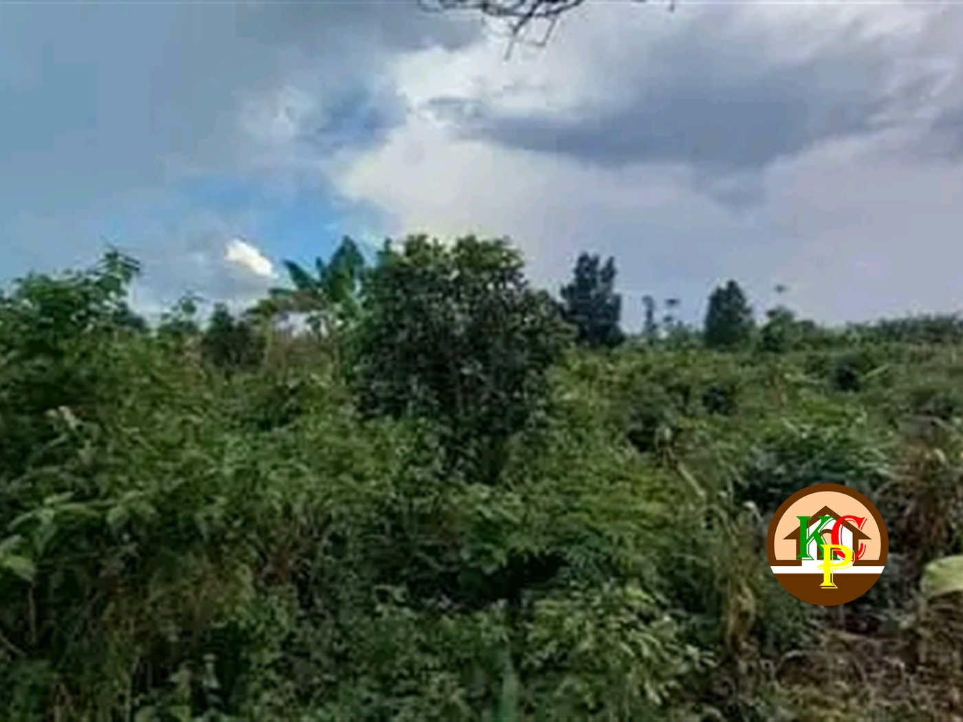 Residential Land for sale in Ziloobwe Luweero