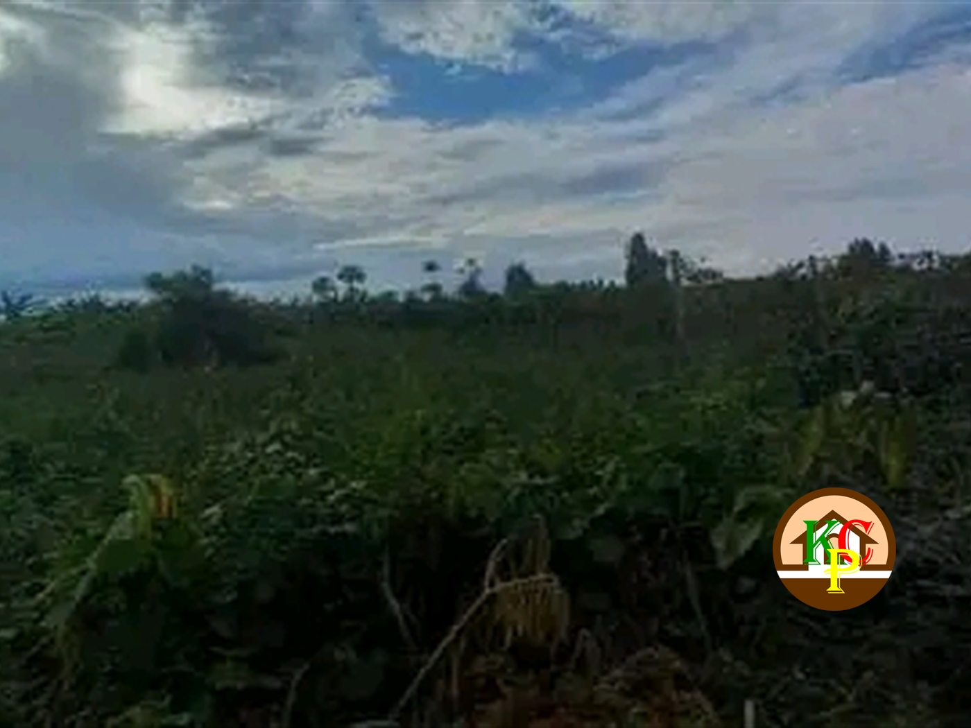 Residential Land for sale in Ziloobwe Luweero