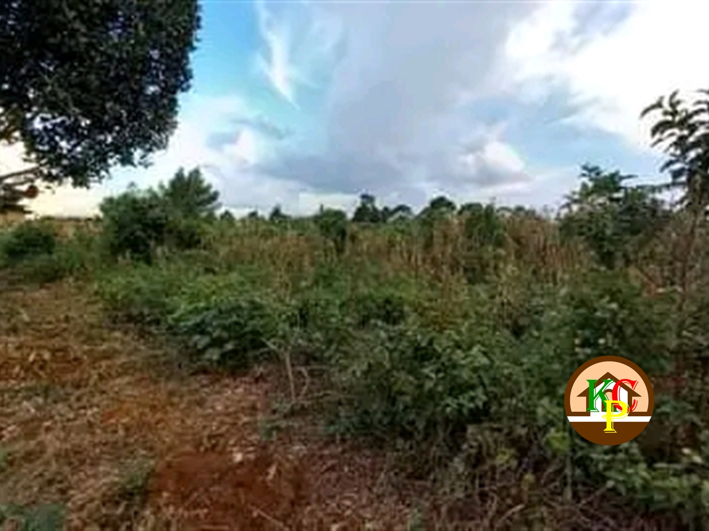 Residential Land for sale in Ziloobwe Luweero